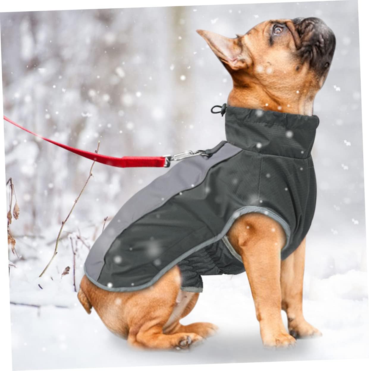 Kisangel 3pcs Dog Jacket Dog Clothing Winter Warmth Reflective Vest Raincoat Pet Harness Compatible