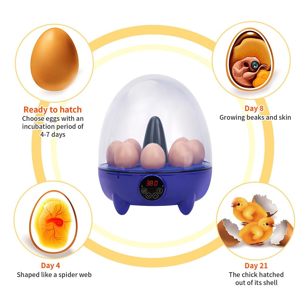 Incubadora digital de huevos de gallina, 8 huevos, control automático de temperatura con visualización de temperatura, mini incubadora de aves de corral para huevos de pato y pájaros, huevo de giro