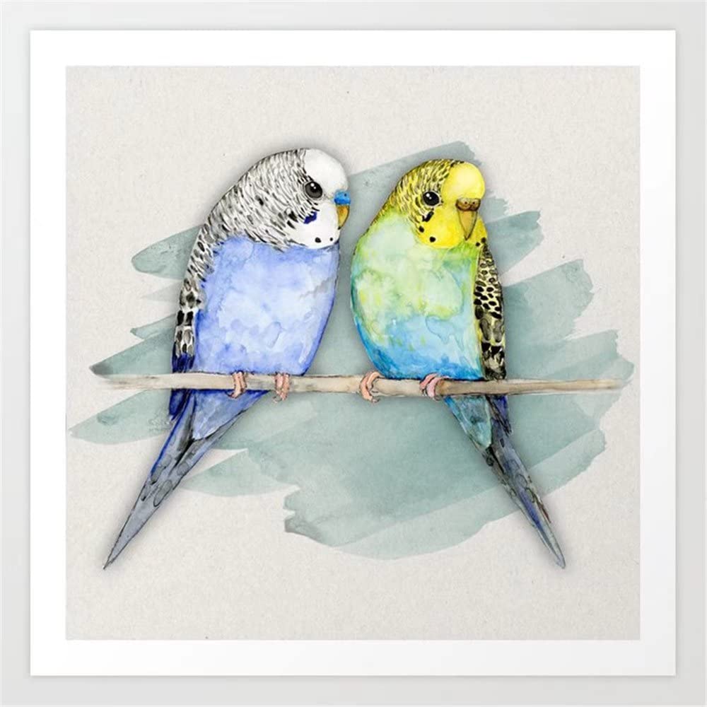Amazon.co.jp: DIY 2つのかわいいセキセイインコ-水彩画-プリント 数字 