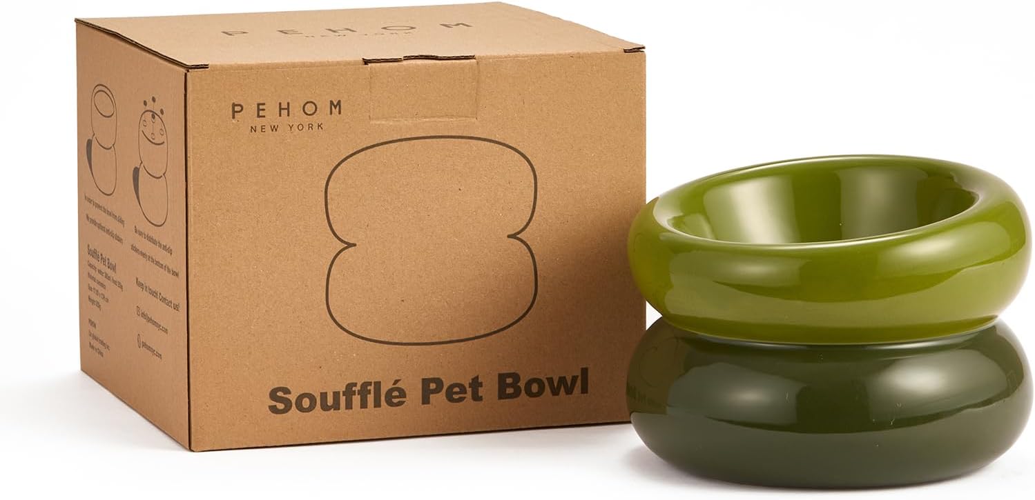 Ceramic Elevated Cat and Dog Bowls for Small Dogs, Non-Slip Tilted Raised Cat Food and Water Bowls Whisker Friendly, Standing Wet Food Bowl-Green
