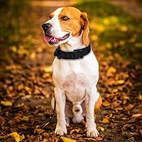 Vista 3 de Collar táctico para perro, collar de nailon ajustable para entrenamiento militar con mango de control y hebilla de metal pesado de liberación rápida