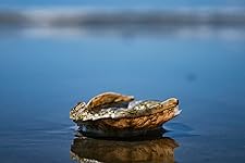 Review Image by Claude Claude