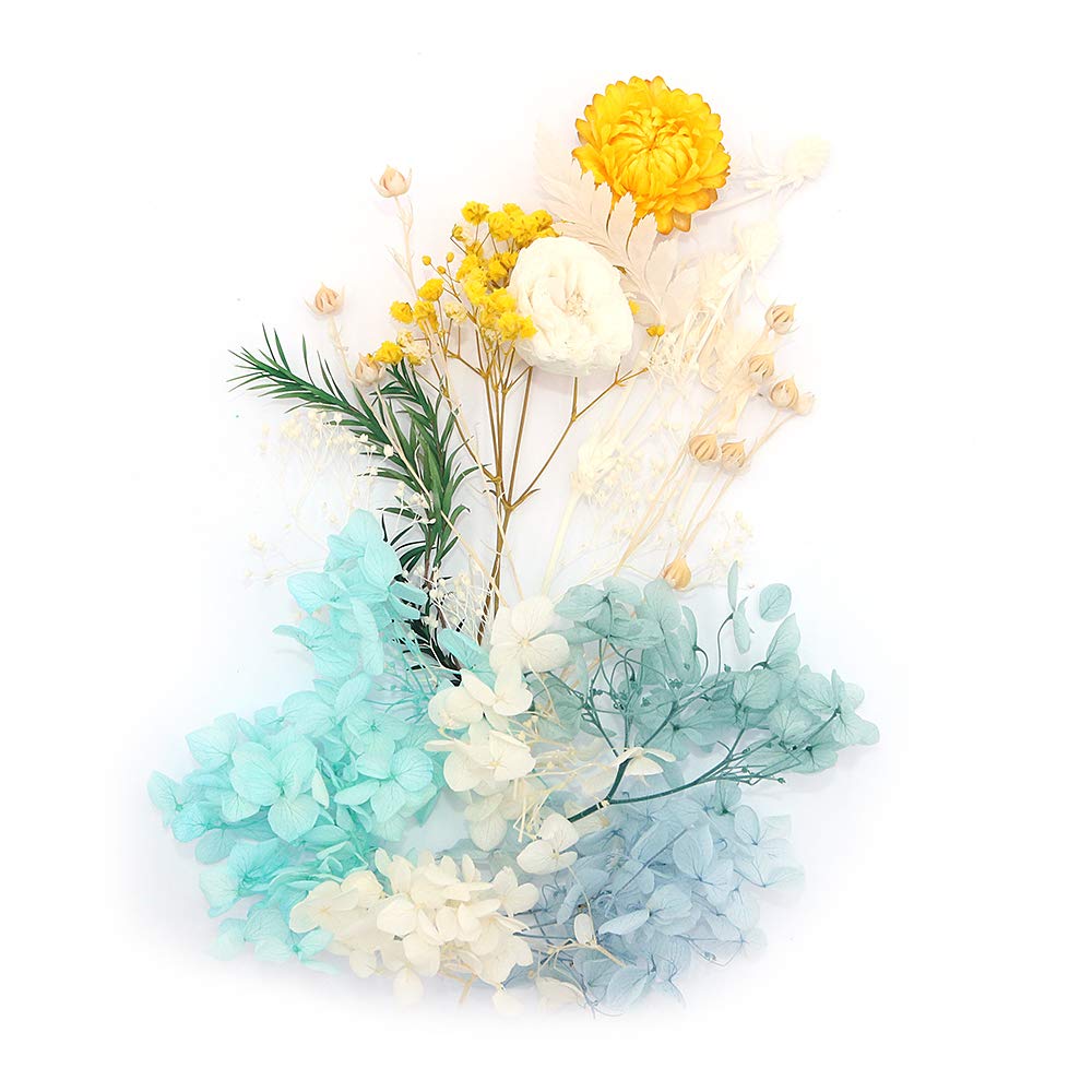 Shiwaki Artificial Flowers Box - Preserved Dried Flower Plant DIY Candle Resin Jewelry Making Craft Decor Shower Home Decorations - Blue, Yellow, White — image 1