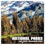 2022 Calendar - Monthly Wall Calendar Square with Thick Paper, Jan 2022 - December 2022, 12' x 24' (Open), Unruled Blocks