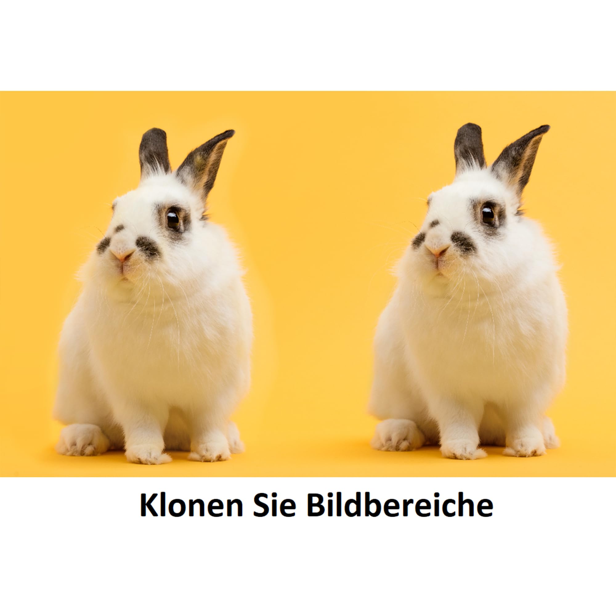 Digitale Schere 2 – Objekte & Personen aus Fotos entfernen, KI-basierte Bildbearbeitung Software für Win 11/10 – Unerwünschte Elemente löschen, Porträt-Retusche & Hintergründe tauschen