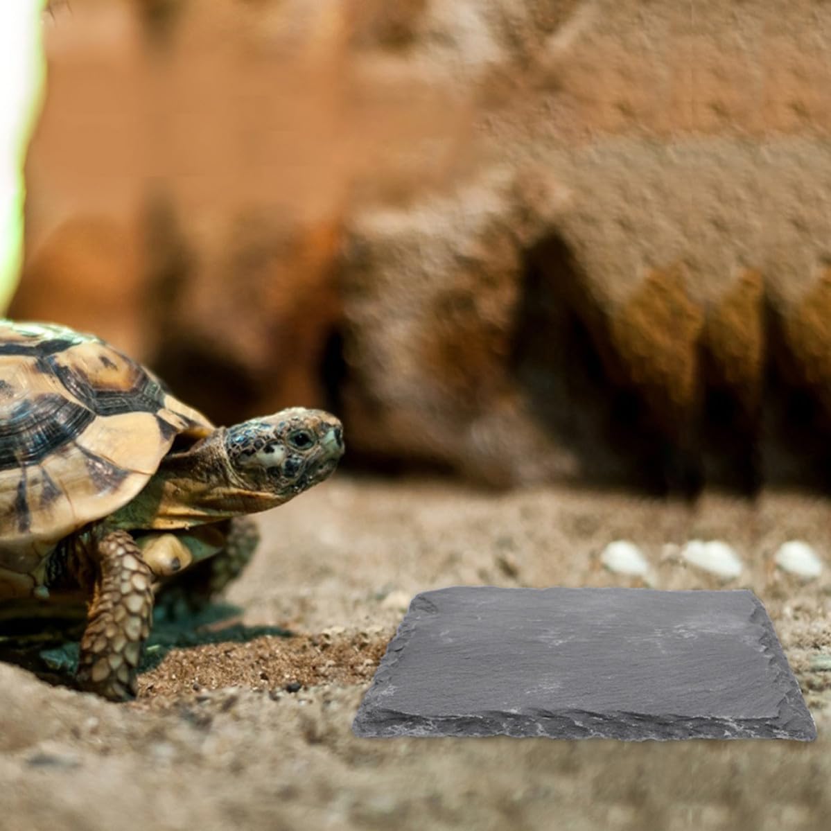 Black Slabstone Reptile Basking Stone for Turtle Habitat Decor