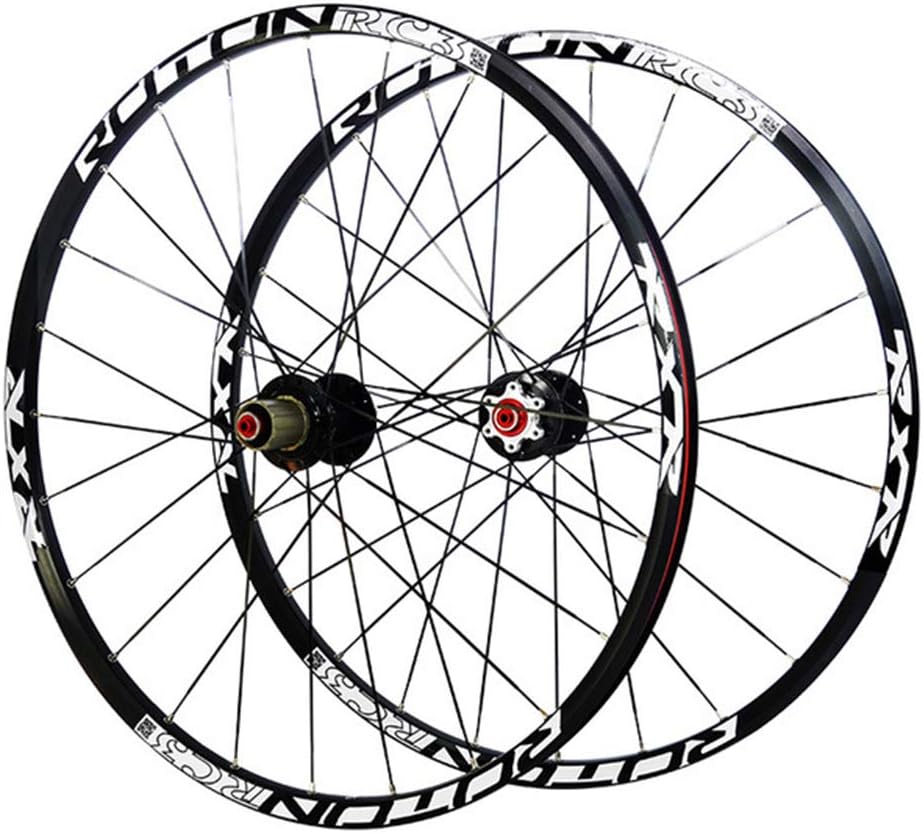 mountain bike con dischi