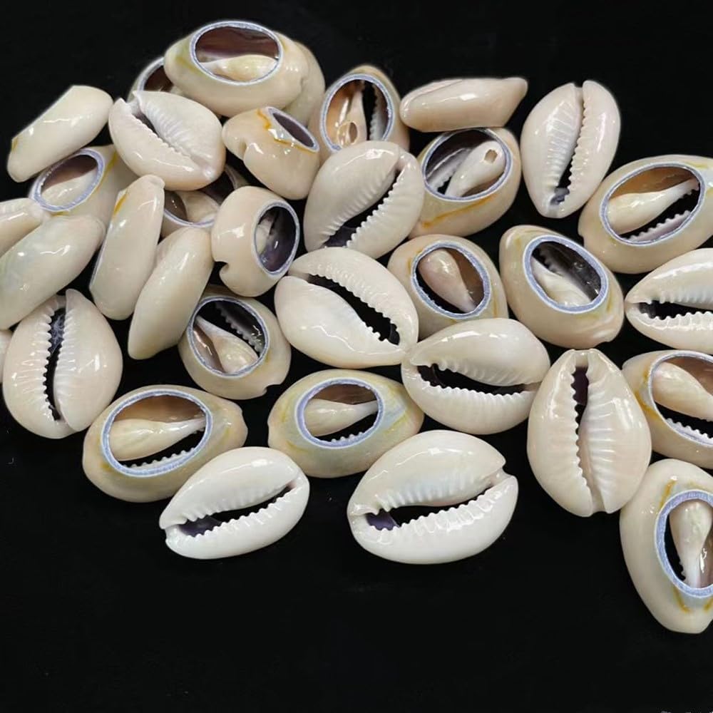 100 PCS 0.63"-0.71" Natural Spiral Cowrie Shell Cut African Cowrie Shells, Beach Seashells with Hole for DIY Craft Jewelry Making, Adorning Hair Locks and Braids (16-18mm, Grey) - Image 5