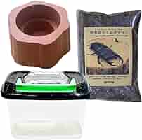 【売り切り特価】クワガタムシ カブトムシ 飼育用品セット Amazon | カブトムシ・クワガタムシ飼育セット【 手持ち付き飼育