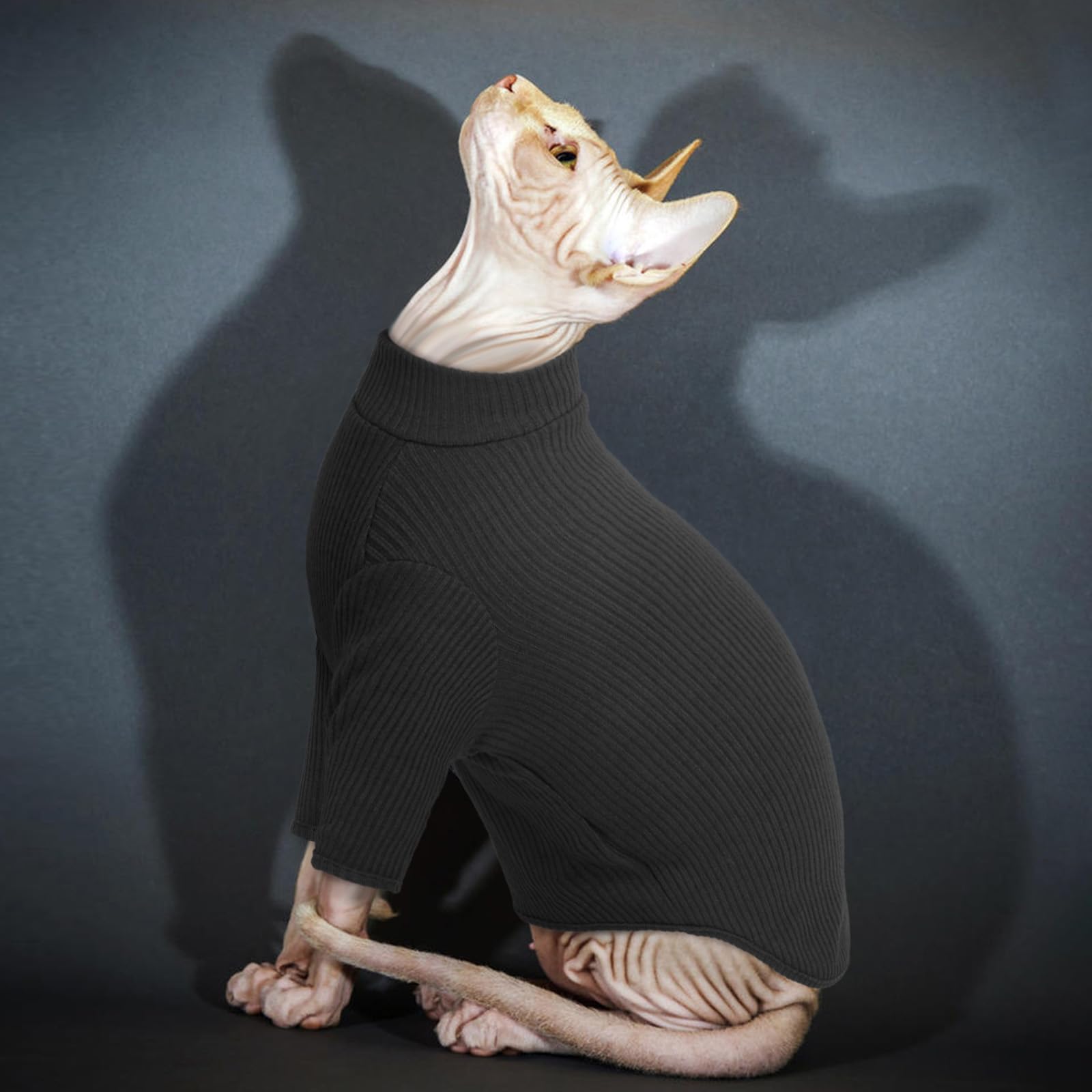 PUMYPOREITY Sphynx Ropa de Algodón sin Pelo Gato Suéter Lindo Cuello Alto Transpirable Camisetas Cuello Redondo Chaleco Camisas Gatitos Ropa Suave (Negro, XL) — view 7