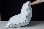 Goose Down Feather Oreillers doux Un oreiller 100% Cotton supportive lit bande d'oreiller blanc Couleur Taille Reine 20x30 de pouce