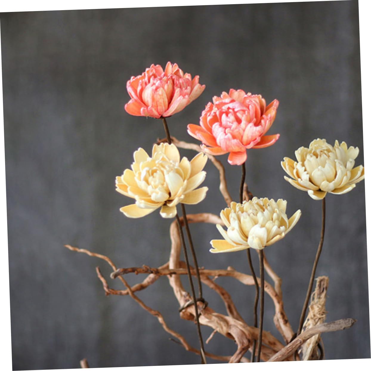 DECHOUS 6pièces Bouquet De Fleurs Séchées Naturelles Décoratif pour Décoration Intérieur Éléments De Mariage Et Accessoires De Fête