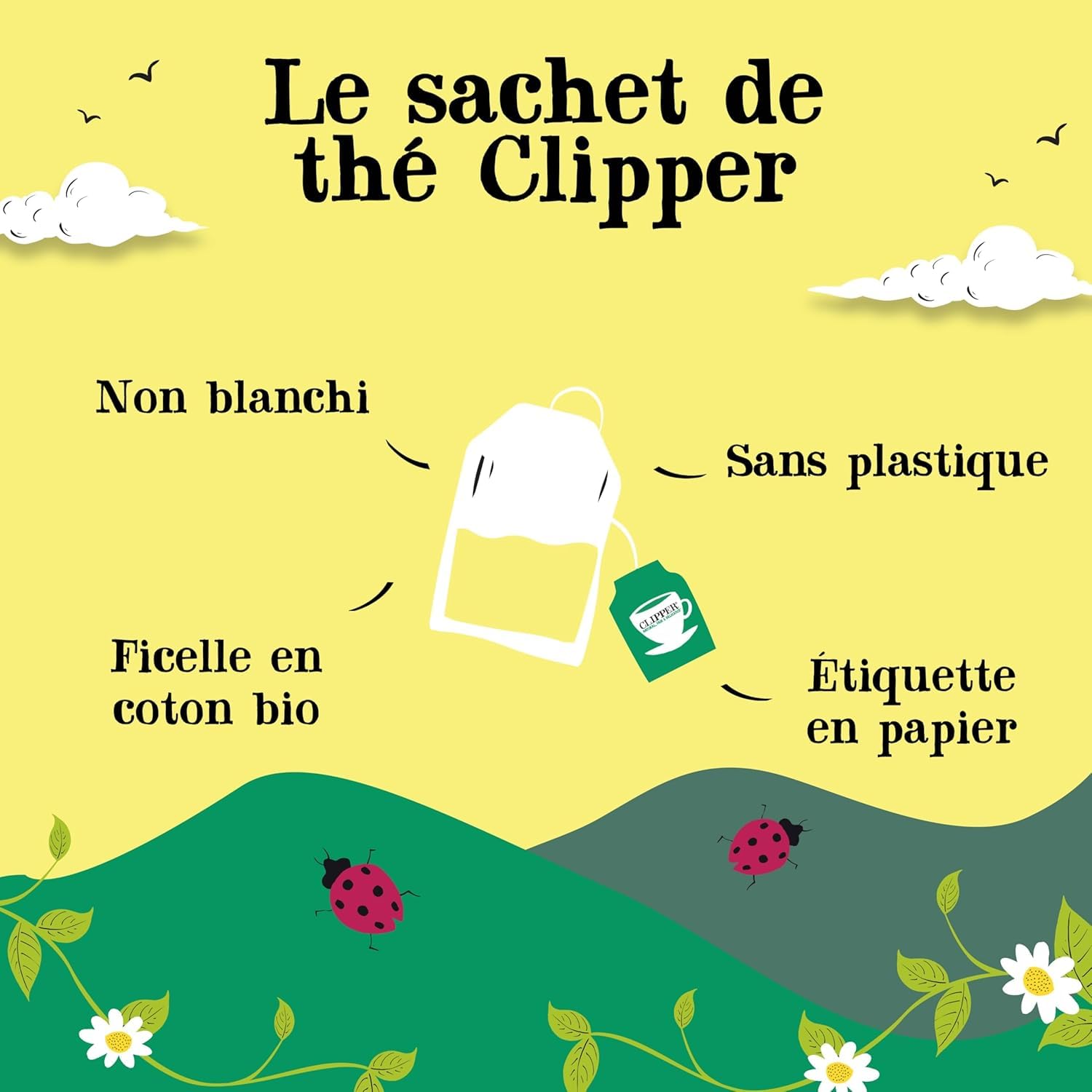 CLIPPER - Coffret Découverte Thé Et Infusion Bio - Coffret Cadeau - 6 X 10 Sachets De Thés Et D'infusions Clipper