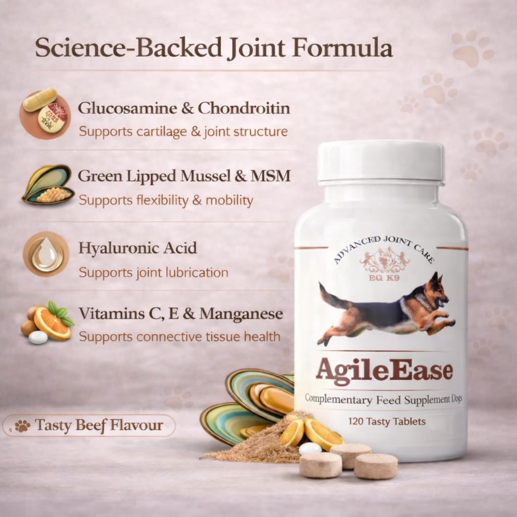 EQ K9 Dog Joint Supplement for Adult & Senior Dogs | 120 Tasty Tablets | Glucosamine, MSM, Chondroitin & Green Lipped Mussel | Hip & Joint Support | Relieves Arthritis & Supports Mobility