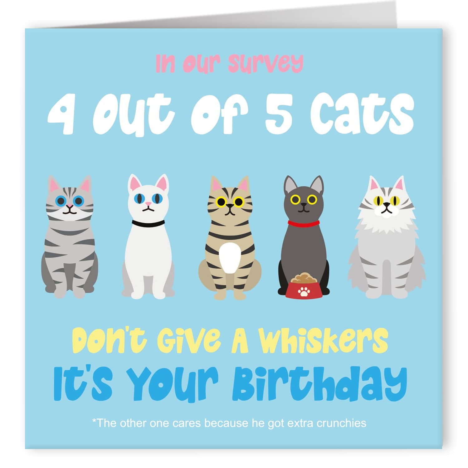 Buy Cult Kitty 4 Out Of 5 Cats Joke Happy Birthday Cards For Him