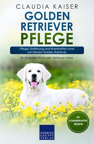 Golden Retriever Pflege: Pflege, Ernährung und Krankheiten rund um Deinen Golden Retriever