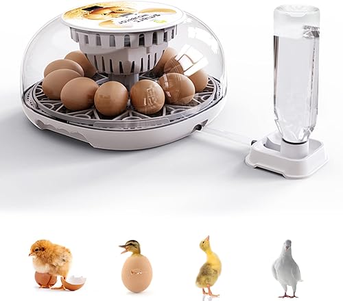 Incubadora de huevos, Fistone 12 huevos completamente automática para pollitos con volteador automático de huevos, incubadora de control de humedad