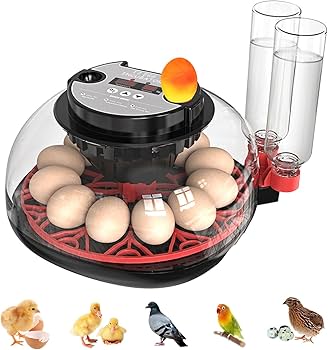 大型卵孵化器 Amazon.co.jp: 自動孵卵器 インキュベーター 検卵ライト付き Safego