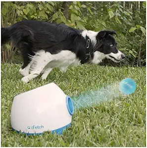 iFetch Too (Large) Interactive Ball Thrower for Dogs- Launches Standard Tennis Balls