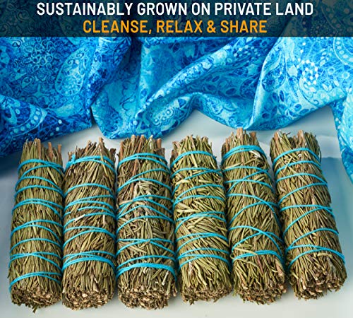 Rosemary Sage 6 Pack (4-Inch) - Smudge Kit Replenishment Refill Smudging Kit Bundles | Sustainably Grown Sage Bundles | Sage Smudge Sticks - Thumbnail 2