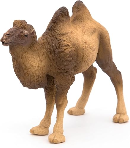 Miniatura 9 de Papo - CAMEL BACTRIANO - Figura realista pintada a mano - 3 años - Juguete educativo de animales salvajes - Vida salvaje, dos jorobas, detalles
