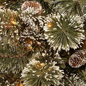 National Tree Company Pre-lit Artificial Mini Christmas Tree | Includes Small LED Lights, White Tipped, Glitter Branches Cones and Cloth Bag Base | Glittery Bristle Pine-2, 2 Foot, Green National Tree Company Pre lit Artificial Mini Christmas Tree Includes Small LED Lights White Tipped Glitter Branches Cones and Cloth Bag Base Glittery Bristle Pine 2 2 Foot Green