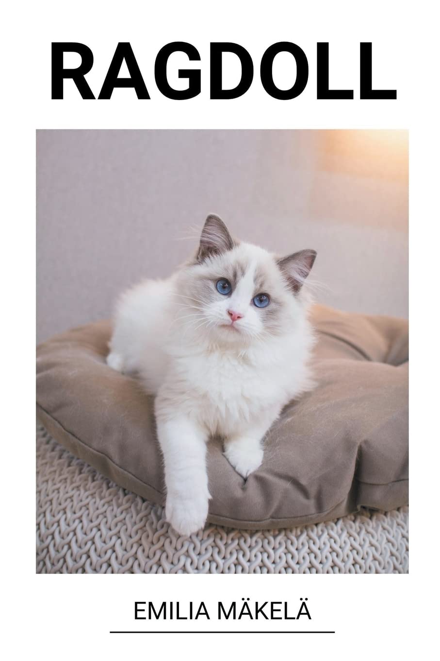 Ragdoll