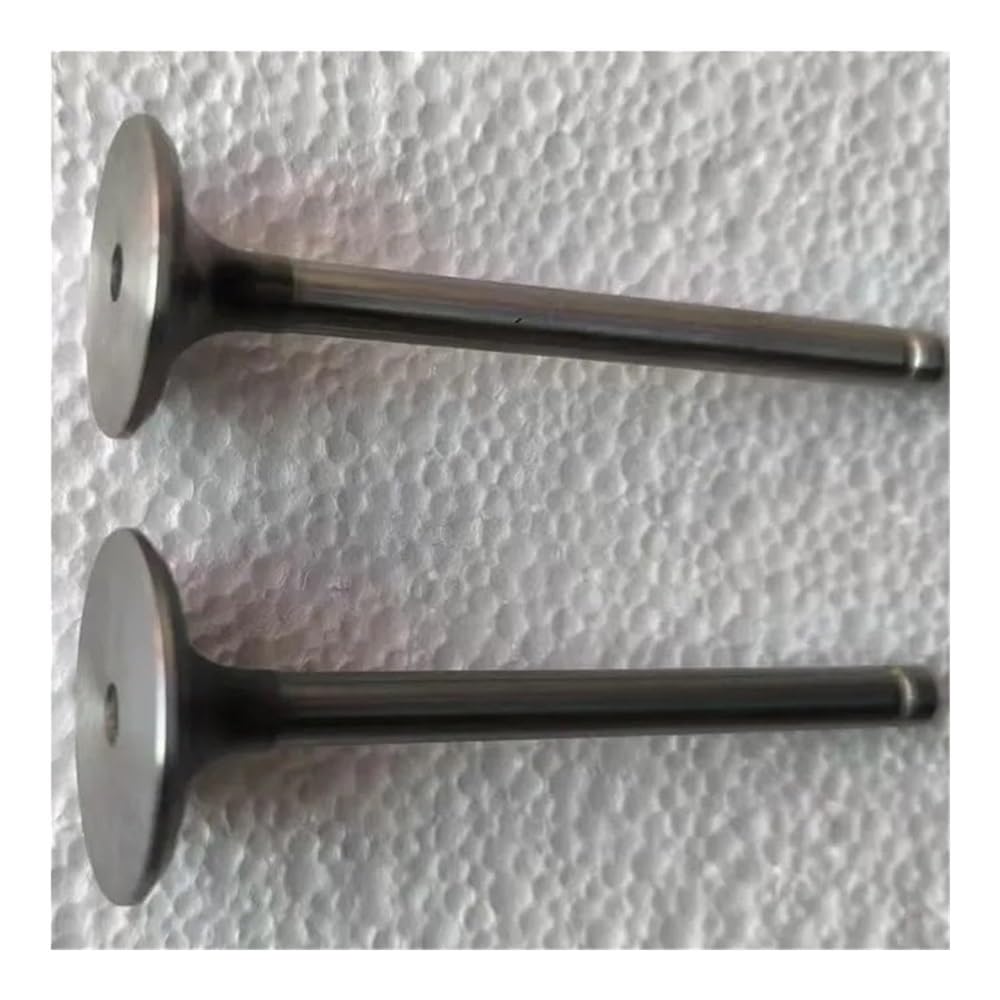 Intake Valve Fit for 2401601-S 2401701-S FIT CH20 CH18 CH23 CH730 CH740 CH742 Engine Part