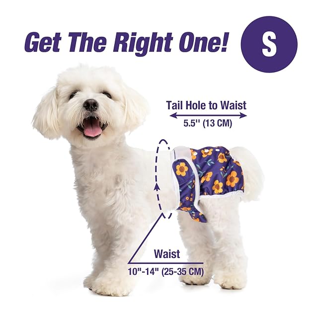 Foto 4 de 5 de Pet Soft Pañales Perro Hembra, Paquete de 3 Pañales Lavables para Perros S