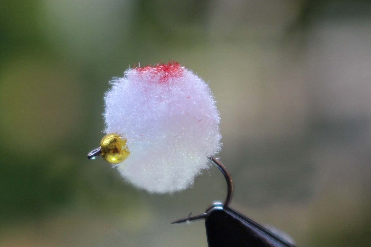 Tigofly 36 pcs Orange/White/Red Brass Beadhead Egg Fly Glo Bug Fly Fishing Flies Lures Free Fly Box