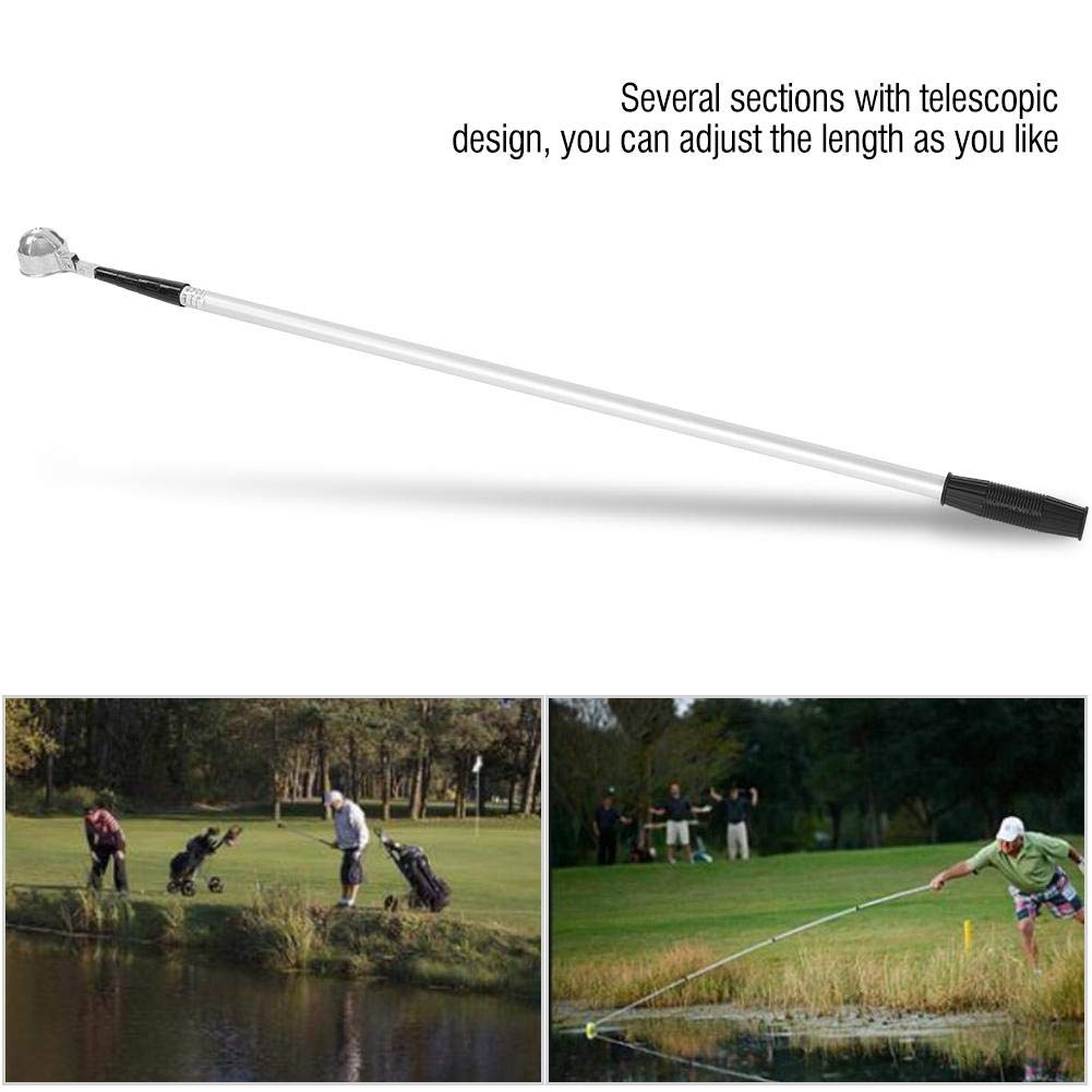 Recogedor de Bolas portátil, recuperador de Recogida de Bolas Flexible y Duradero, Ligero para los Amantes de la Pelota de práctica(Five Sections)