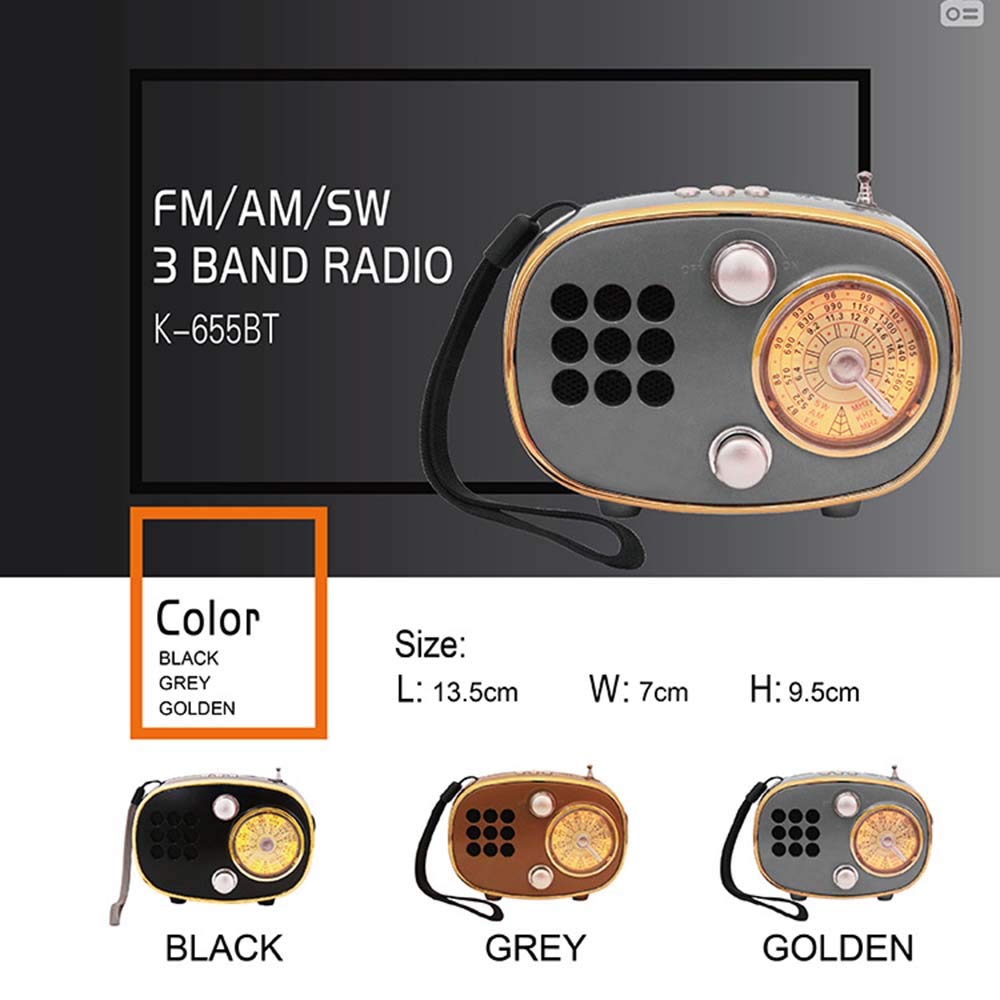 Radio FM/Am/sw Portátil Pequeña, Radio Portátil Radio de Bolsillo con Micrófono, Sonido Estéreo Potente TF Reproductor USB,Marrón