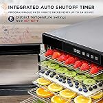 Ivation 6 Tray Food Dehydrator for Jerky, Herbs & Fruit - Image 3