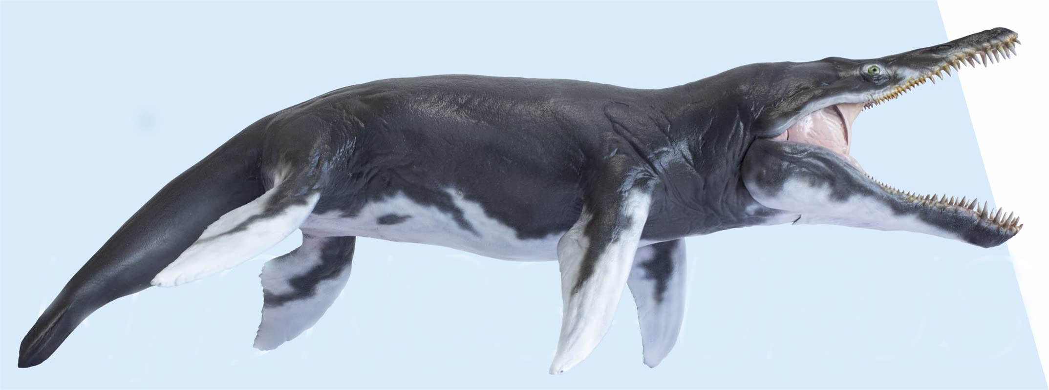 Amazon | PNSO Kronosaurus Jeff 1/35 DINOSAURS SCIENTIFIC ART MODEL