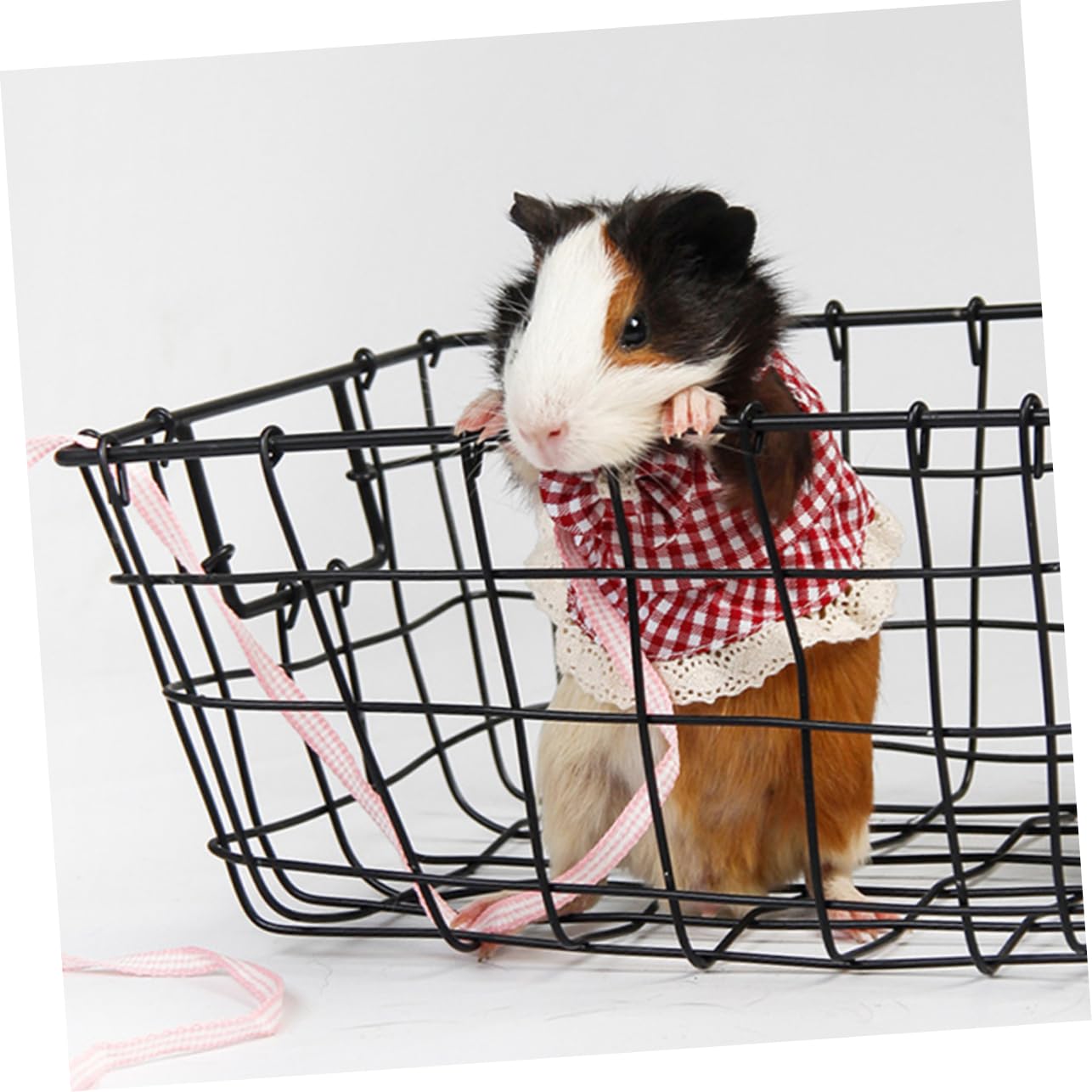 Yardwe 5 Teiliges Geschirrset Für Kleine Haustiere Leinengürtel Meerschweinchengeschirr Kleines Haustiergeschirr Dekoratives Hasengeschirr Frettchen Gehseil Kleines Haustier