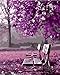 Abeuty, pittura fai da te con i numeri per adulti principianti, viola con albero di panchina 40,6 x 50,8 cm, giocattoli anti-stress (senza cornice)