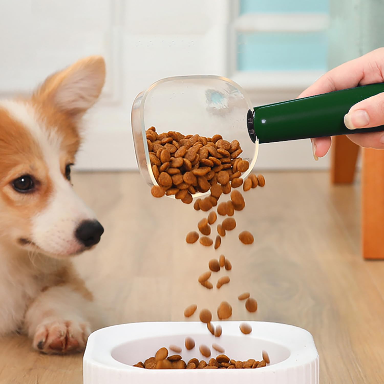 Dosatore Crocchette Per Cani Misurino Paletta Cibo - Verde, 1 Pezzo, Secco e Gatti Cucchiaio di Misurazione con Clip, Bilancia da Cucina, Dispensatore Animali Domestici