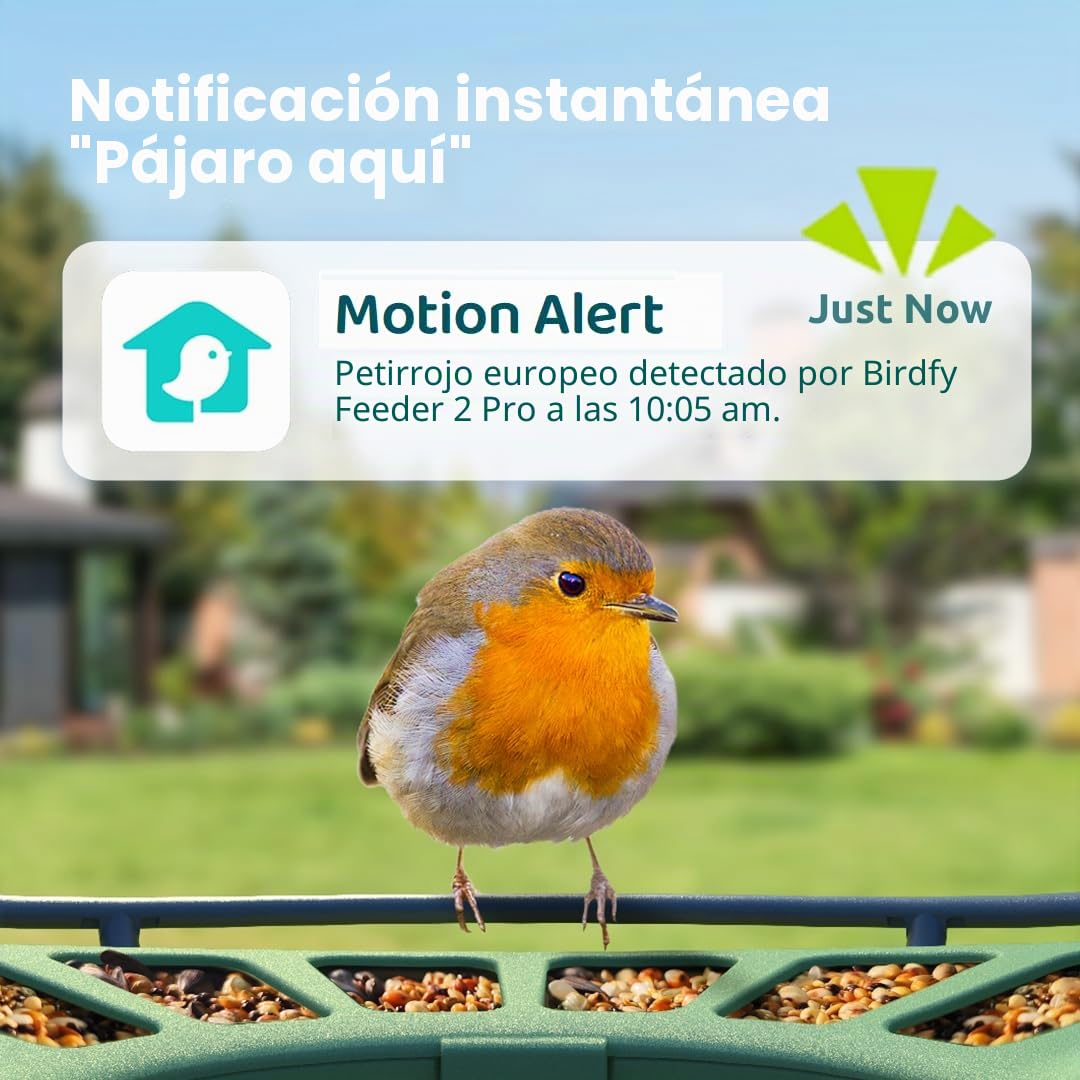 Birdfy 2 Pro - Alimentador de pájaros con 2 K Dual-Camera para observación, identificación de Especies de Aves AI, Video a cámara Lenta, visión Nocturna en Color, notificaciones en Tiempo Real