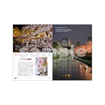 にっぽん桜めぐり | 深澤 武 |本 | 通販 | Amazon