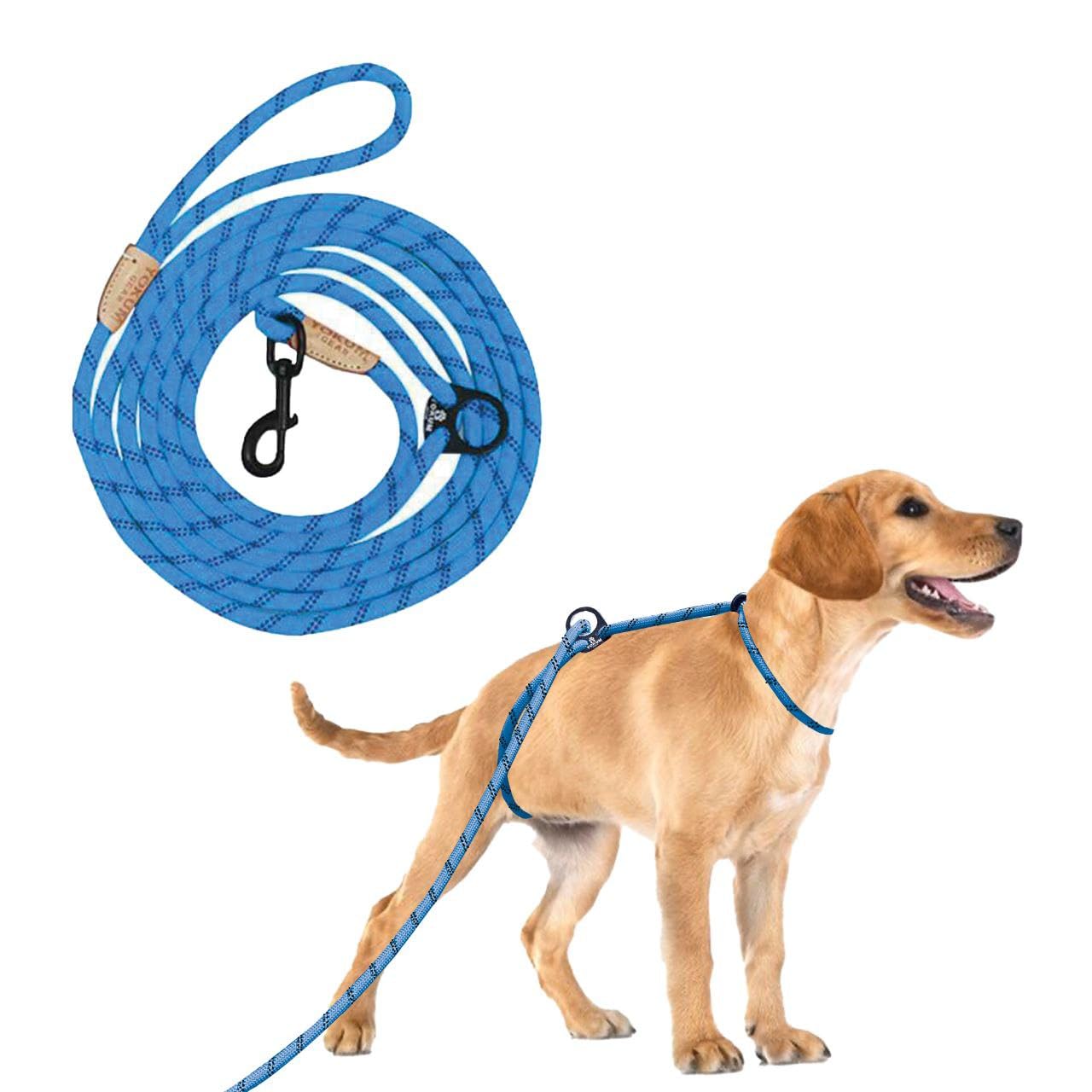 12ft No Pull No Choke Leash Long Rope Dog Leash, Anti Pulling, Dog Leads for Walking, Double Hook & Escape Proof for All Breeds, Reflective Teal