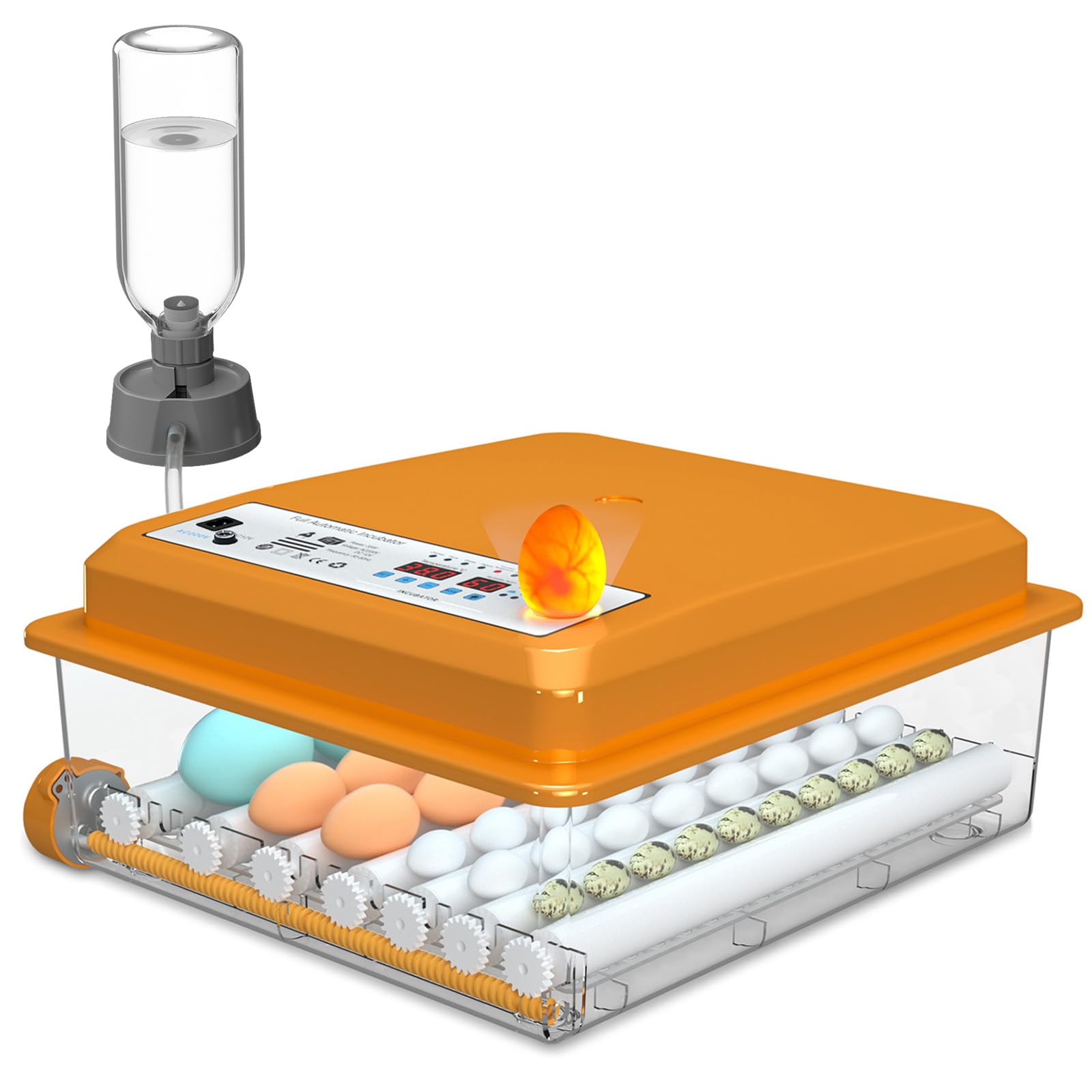 Chalixion Incubatrice per Uova Automatica, Incubatrice per 36 Uova Gallina con Controllo Temperatura, 5 Modalità di Incubazione Automatica, Display Umidità, Riempimento Automatico dell'acqua e Girando