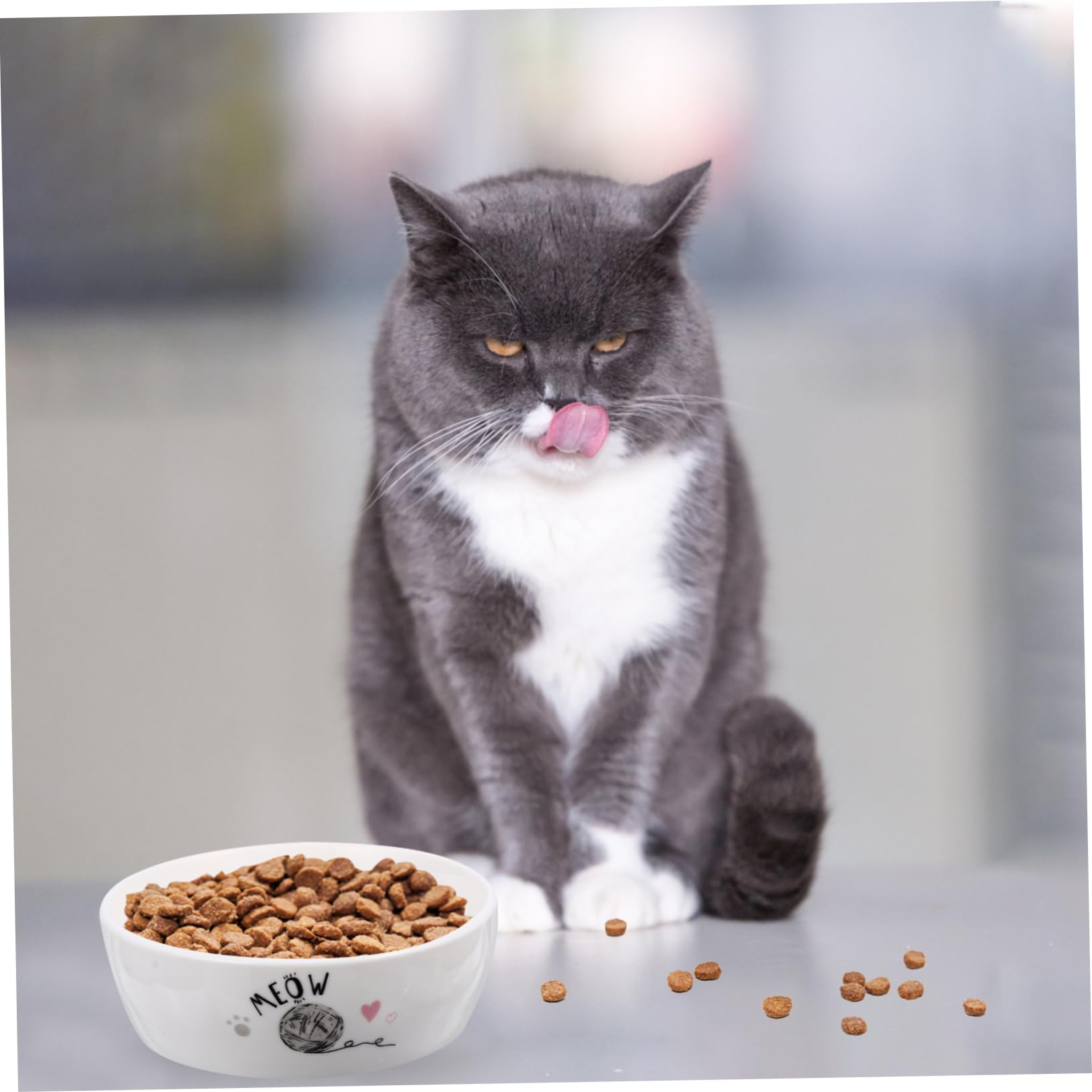 Keramik Katzennapf für Katzen und Kätzchen Leicht zu Reinigen Sicher Weiß für Täglichen Futterbedarf Zufälliger Stil