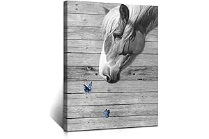 Black and White Horse Bathroom Wall Decor