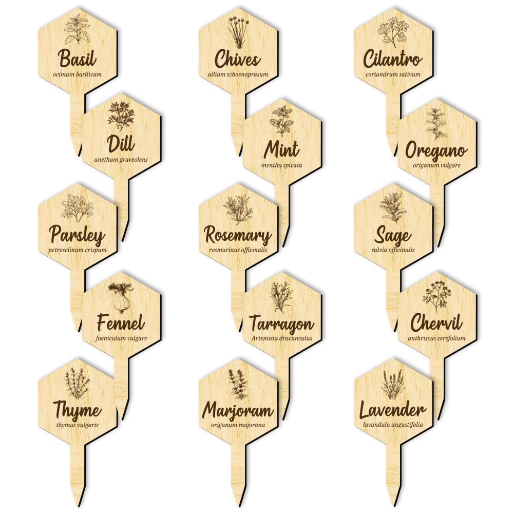 arricraft 15 Pz Legno Nome Pianta Etichette, 15 Stili Etichette Giardino con Nome Completo di Medicina Erboristica Marcatori di Legno per Piante Indoor ed Outdoor Erbe Seed Potting