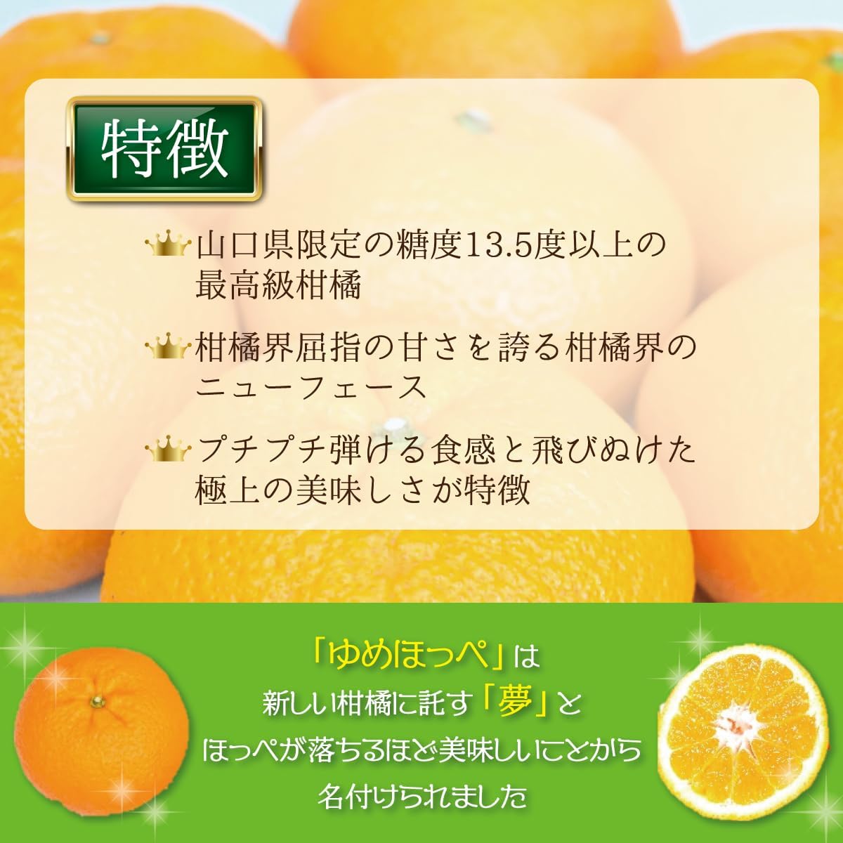 【糖度13.5度以上】 山口県産 糖度センサー認証済 ゆめほっぺ 3㎏ せとみ みかん 甘い 大きい 柑橘 ご家庭用 贈答用 可 西村青果