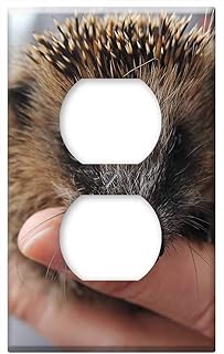 Switch Plate Outlet Cover - Hedgehog Wild Animals Hedgehog Baby Spur Nature