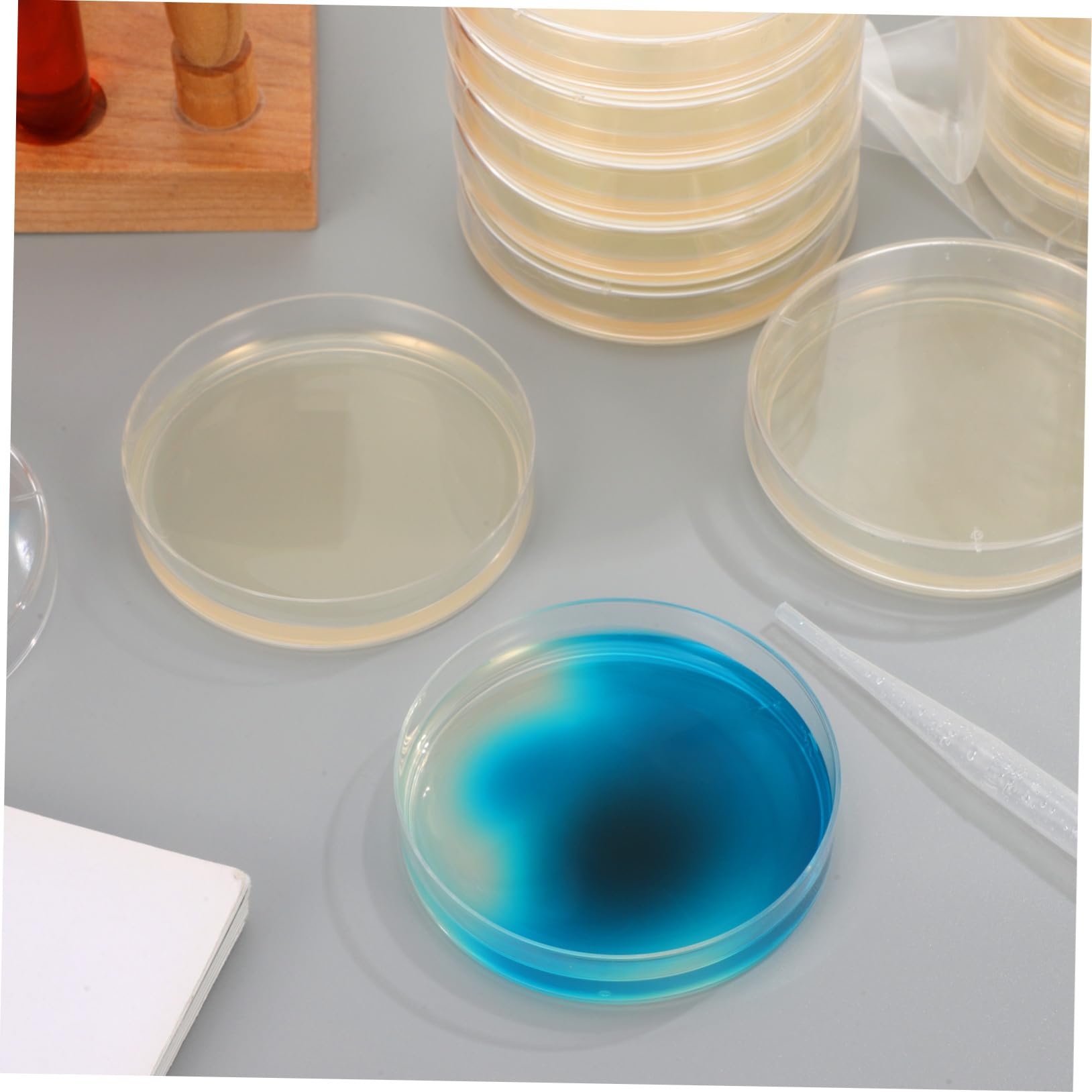 Piastre Petri con Agar Nutriente Precolato 20 Pezzi per Laboratorio | 7cm, Monouso per Ricerca e Scuola, Supporto per Coltura Microbiologica, Formato Pronto All'uso