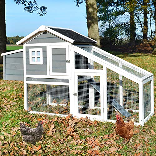 Zooprinz moderner Hühnerstall mit Nistkasten - aus massivem Vollholz und stabilem Draht - Hühnerhaus schnell zu reinigen…