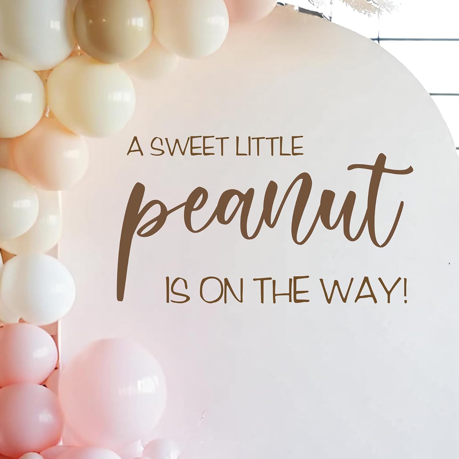 A Little Peanut is On The Way Baby Shower Decorations - A Sweet Little Peanut Decal Sign, First Birthday Decorations for Girl, One Year Old Gender Reveal Sign, 1st Party Supplies for Girls Boy