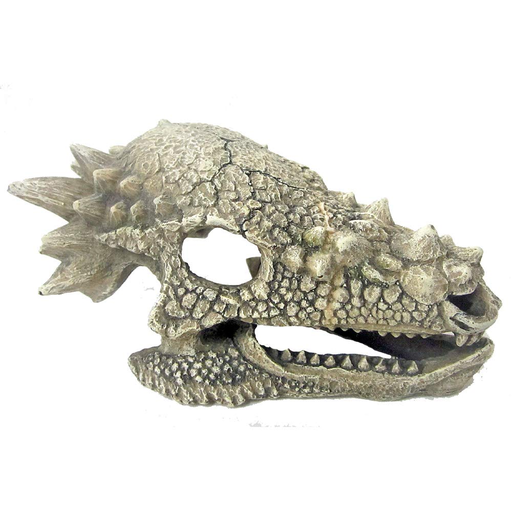 Wave Dragon Skull B